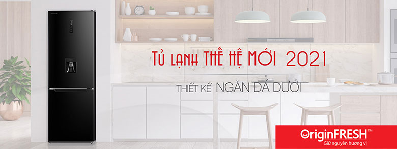 Tủ lạnh Toshiba dưới 10 triệu - Toshiba Inverter 294 lít GR-RB385WE-PMV(30)-BS