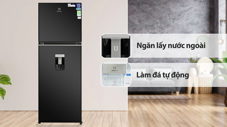 Tủ lạnh 10 triệu 11