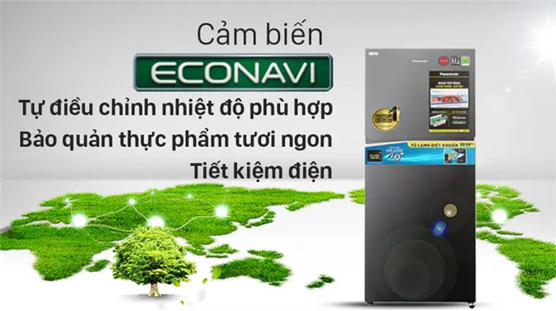 Tủ lạnh 10 triệu 13