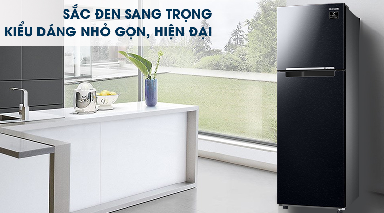 Tủ lạnh Samsung 2 cánh 2