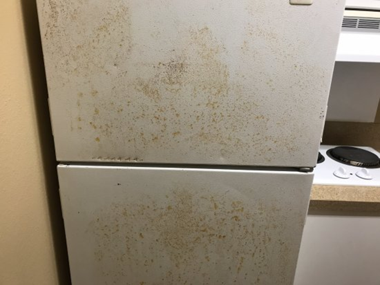 Nguyên nhân tủ lạnh bị rỉ sét