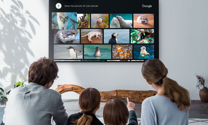 Tivi Sony 43W800F tìm kiếm bằng giọng nói