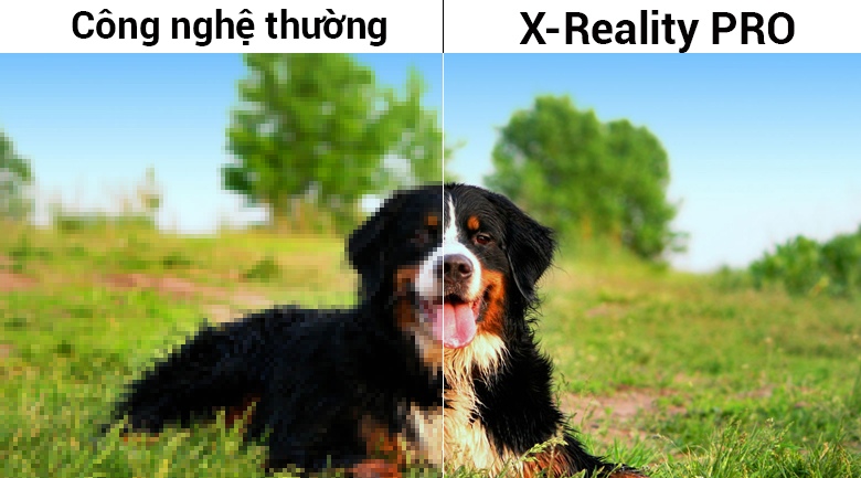 Tivi Sony 43W800F công nghệ X-Reality Pro