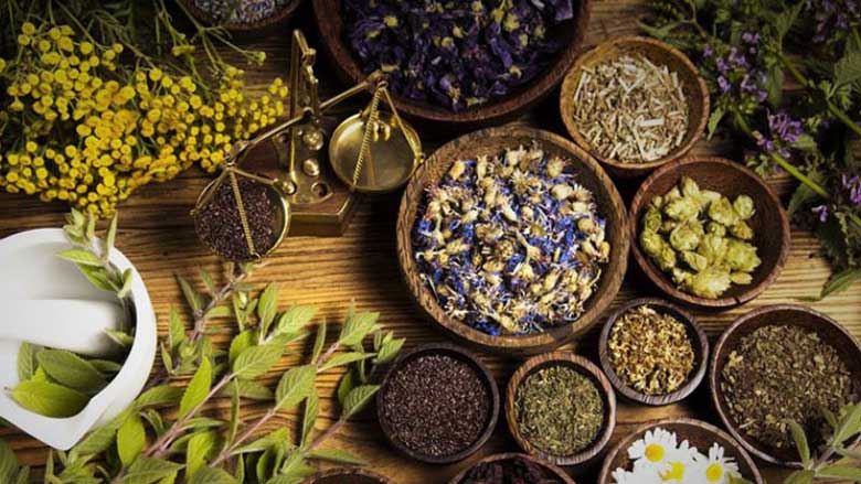 Mẹo sử dụng lò vi sóng khi sấy khô thảo mộc