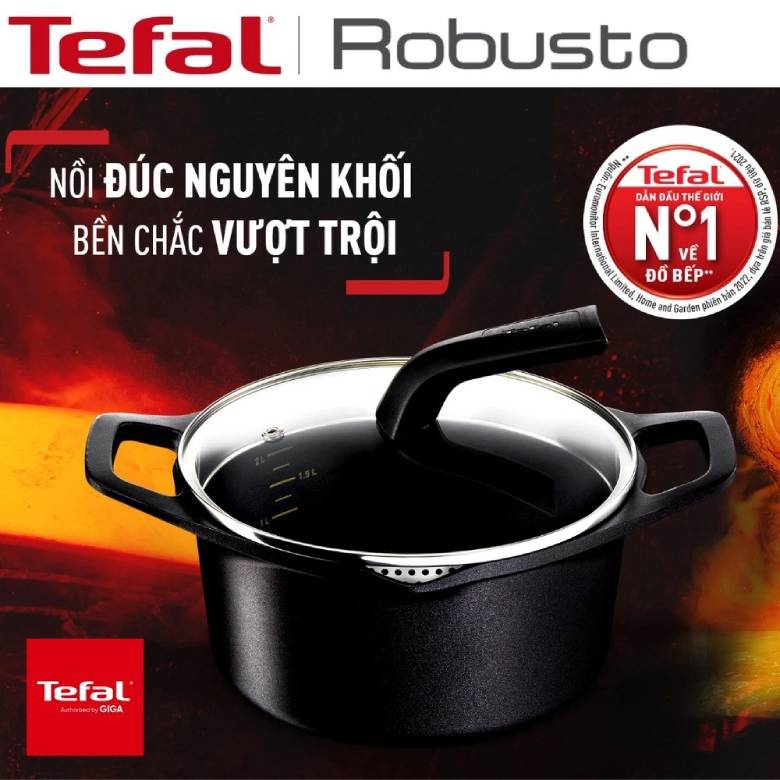  Nồi đúc Tefal Robusto 24cm E2494644