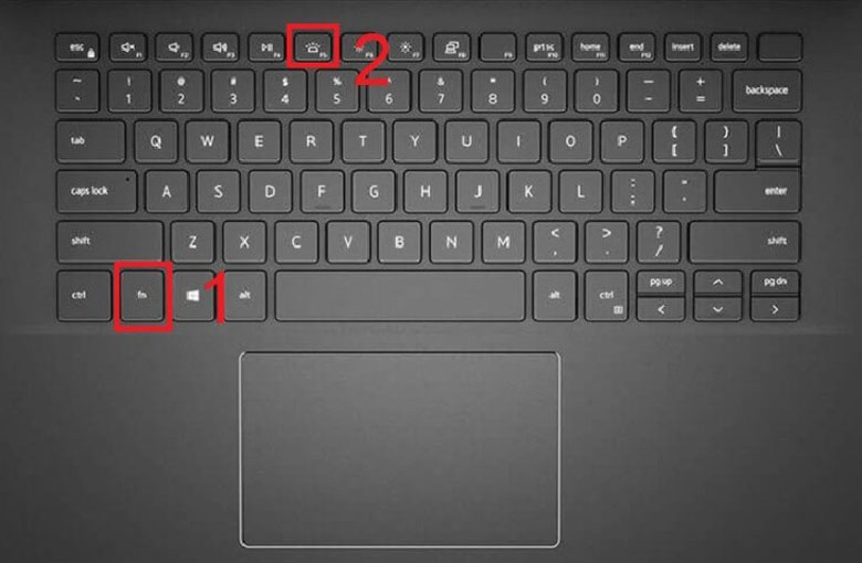 Chuột cảm ứng laptop không di chuyển được Win 10, kích hoạt lại tổ hợp phím