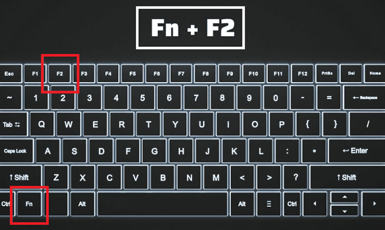 Mở Wifi laptop Dell, dùng phím riêng
