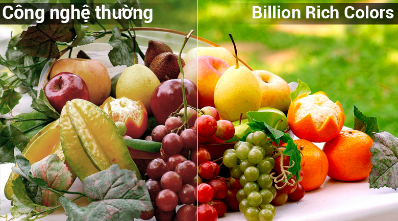 Tivi OLED LG 55E8PTA Công nghệ Billion Rich Colors 