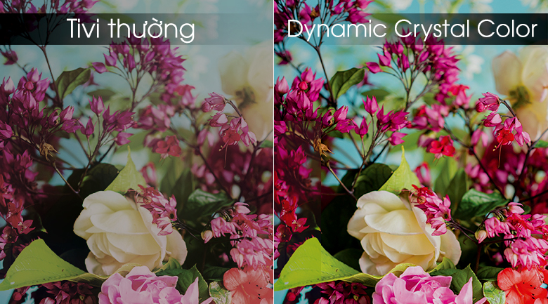 Độ phân giải màu sắc sắc nét 100% giải màu Smart UA49RU8000KXXV Samsung TV 