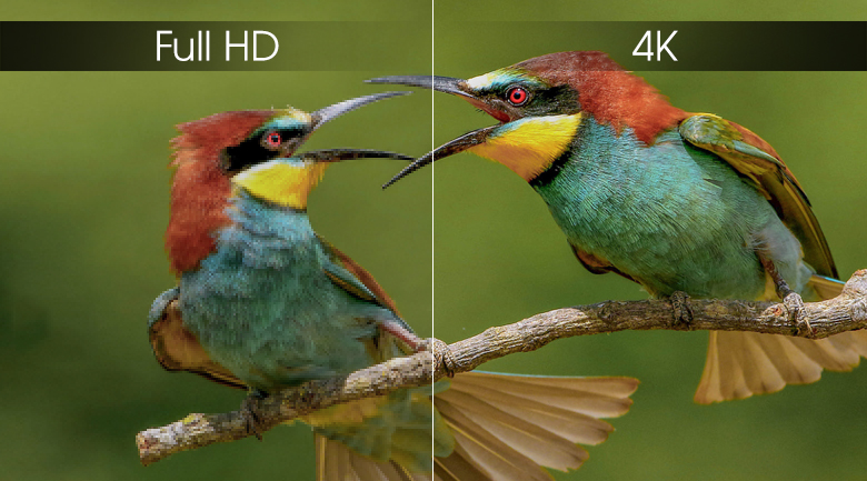 tivi Sony 49X8000G độ phân giải 4k