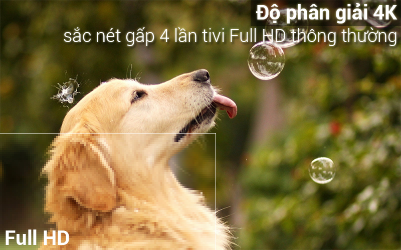 Tivi Sony 49X8500G độ phân giải 4K