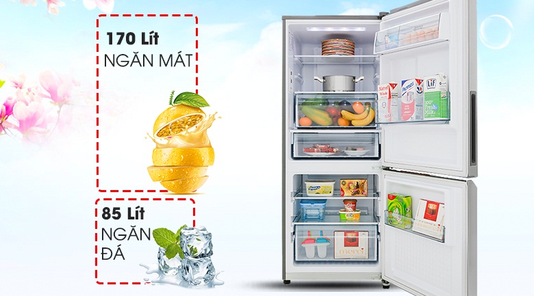 Tủ lạnh Panasonic 255 lít NR-BV280QSVN cho 2 - 3 người