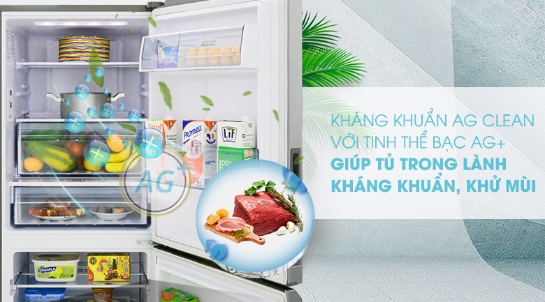 Tủ lạnh Panasonic Inverter 255 lít NR-BV280QSVN kháng khuẩn