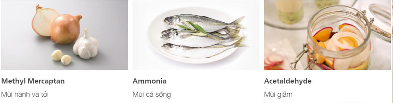 Bộ lọc 3 lớp Triple Power loại bỏ các mùi gây khó chịu từ 7 hợp chất phổ biến