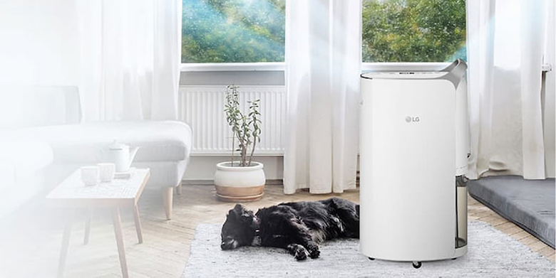 Tiêu chí chọn máy hút ẩm phòng 60m²