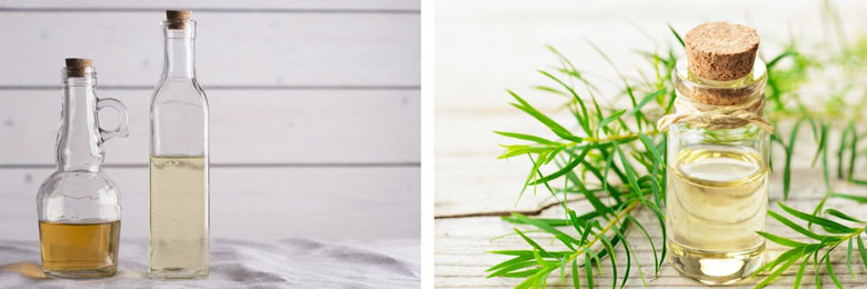 Cách tẩy vết ố vàng trong tủ lạnh với giấm, tinh dầu tràm