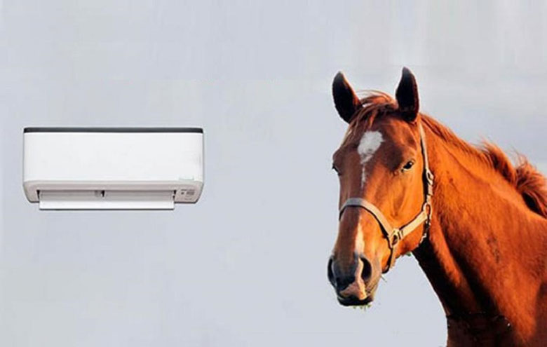 Ngựa điều hòa là gì? Lý do cần biết