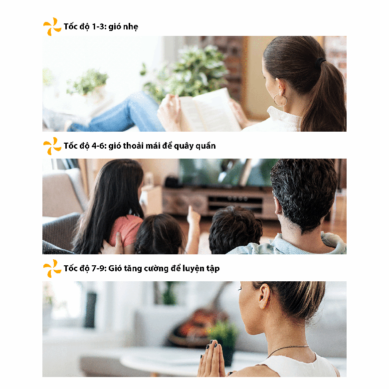 Quạt tuần hoàn Toshiba F-DSC80XVN - 9 tốc độ gió