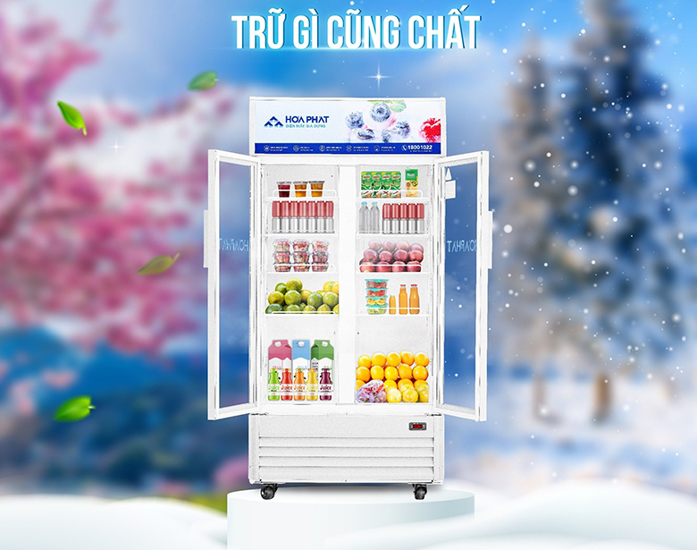Tủ mát Hòa Phát 812 lít HSR D6812 dàn lạnh đồng