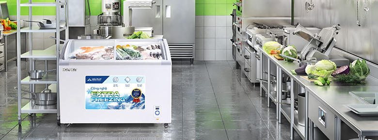 Tủ đông Hòa Phát HSF AD6280.C1 280 lít