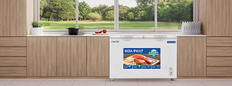 Tủ đông Hòa Phát HPF BD8205