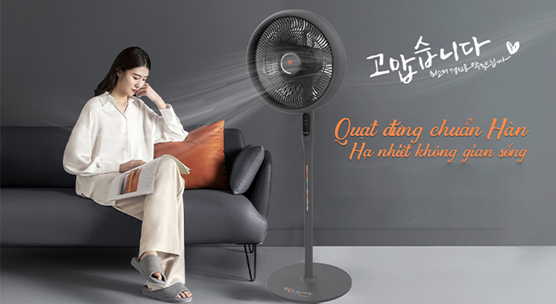Quạt cây Hawonkoo DC FDH-012-SPEED24-GR - Kiểu dáng đẹp mắt và sang trọng