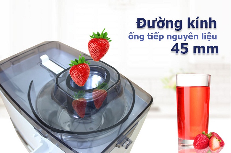 đường kính ống tiếp nguyên liệu lớn-máy xay ép đa năng Panasonic MJ-M176PWRA