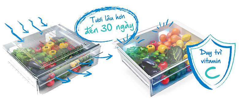 tu-lanh-beko-inverter-rdnt250i50vwb