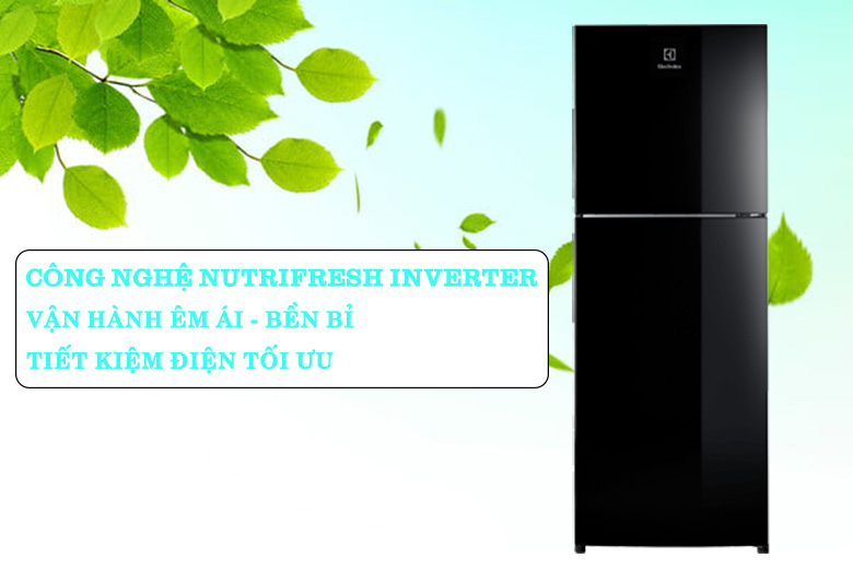 Tủ lạnh Electrolux Inverter 225 lít ETB2502J-H tiết kiệm điện