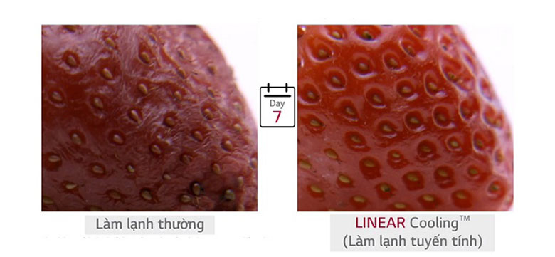 Linear Cooling giúp thực phẩm giữ lại đến 20% độ ẩm 