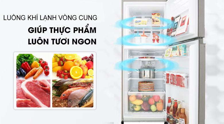 Tủ lạnh Toshiba Inverter 194 lít GR-A25VS (DS1) luồng khí lạnh vòng cung