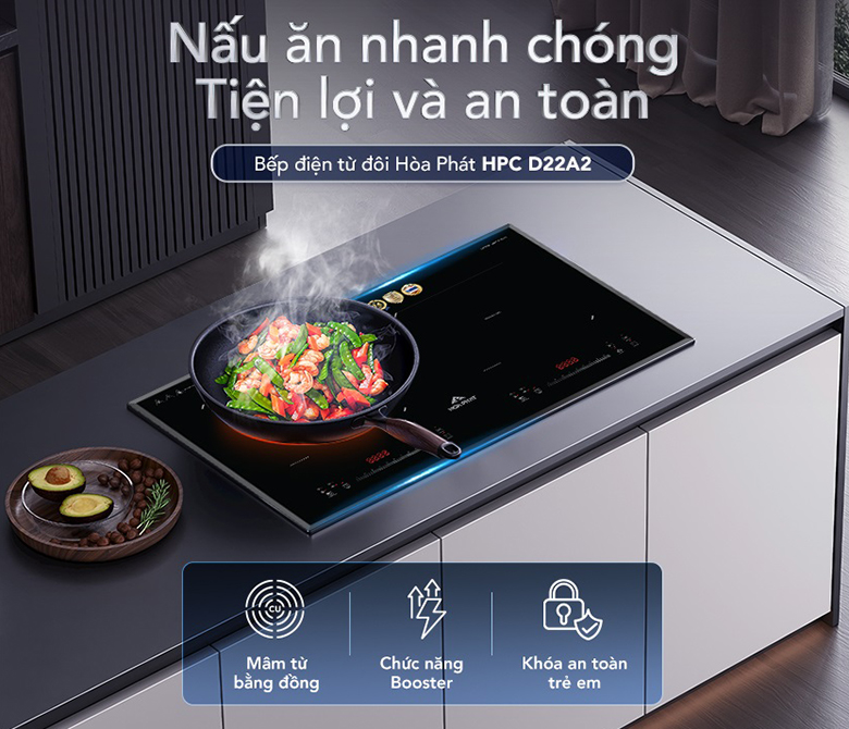 Bếp từ Hòa Phát HPC D22A2