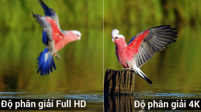 Nên mua tivi FULL HD hay 4K