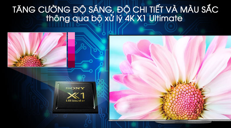 nên mua tivi Sony hay LG - sony hình ảnh chân thực