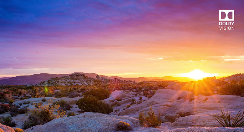 Tivi Panasonic 43GX650V hỗ trợ nhiều định dạng HDR với công nghệ Dolby Vision