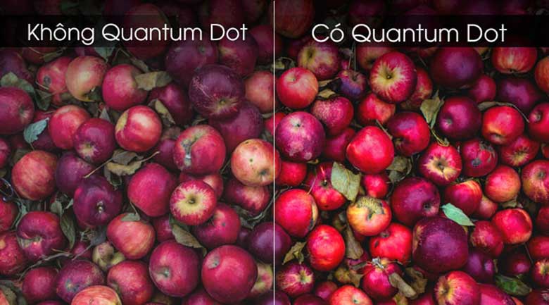 Phân giải gam màu chất lượng bởi công nghệ Quamtum Dot