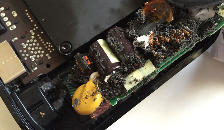 Nguyên nhân tivi bị sọc dọc màn hình - Côn trùng chui vào trong tivi