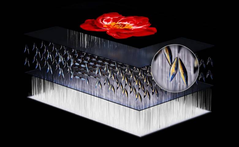 Google Tivi TCL QD-Mini LED 4K 75 inch 75C8K - Tấm nền CrystGlow HVA và CSOT HVA Panel