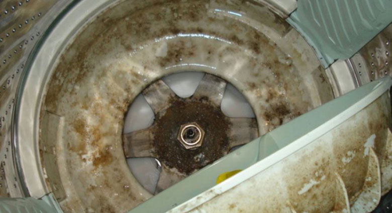 Vì sao cần vệ sinh máy giặt bằng bột vệ sinh làm sạch máy giặt 