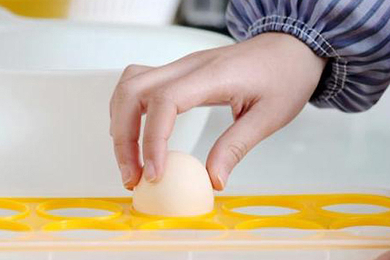 cách bảo quản trứng trong tủ lạnh: Đặt trứng đúng cách