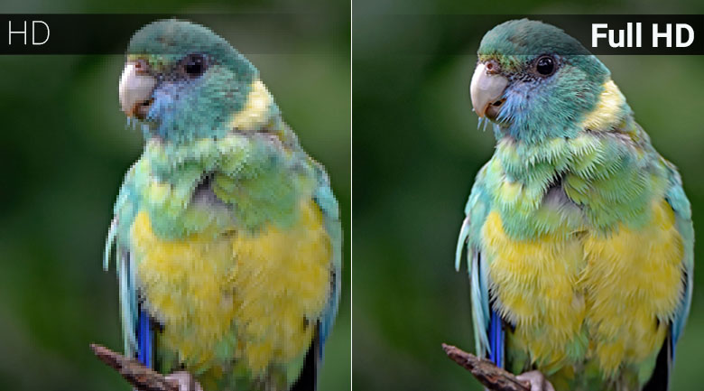 Độ phân giải Full HD - Android Tivi TCL 40 inch L40S6500