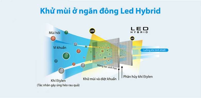 Tủ lạnh Toshiba có tốt không? Khử mùi Led Hybrid