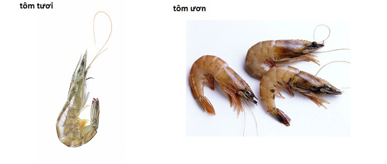 Cách nhận biết tôm tươi và tôm ươn