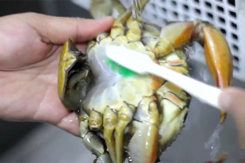 Làm sạch cua với nước