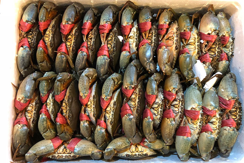 Cách bảo quản cua biển sống trong tủ lạnh 