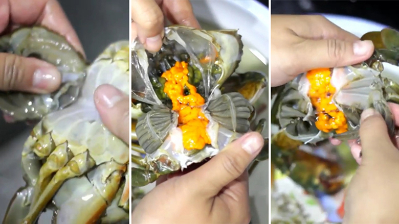 bóc bỏ yếm cua, trứng xốp bên ngoài yếm