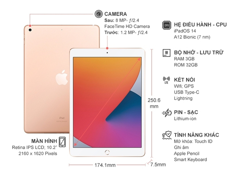 Kích thước - Máy tính bảng Apple iPad Gen 8 2020 Wifi MYLC2ZA/A 32GB 10.2 inch Vàng - Hàng chính hãng