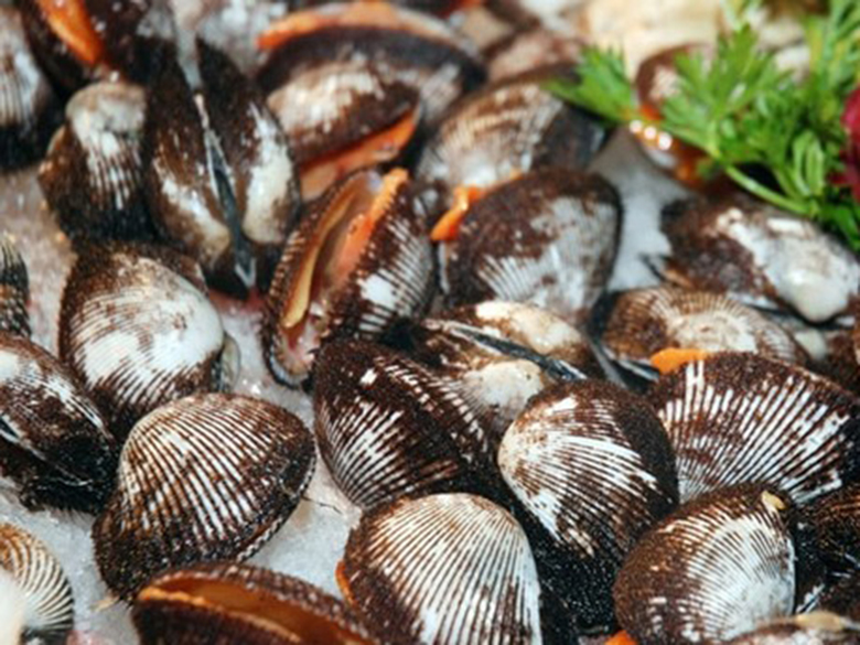Nguyên liệu làm sò lông nướng mỡ hành - Các món ngon từ lò nướng