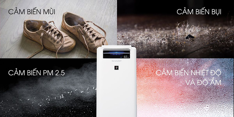 Máy lọc không khí Sharp KC-G40EV-W