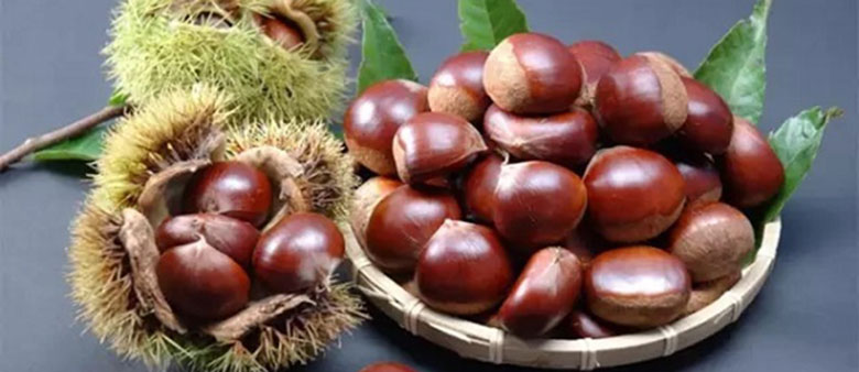 Cách rang hạt dẻ bằng lò vi sóng không phải ai cũng thực hiện được